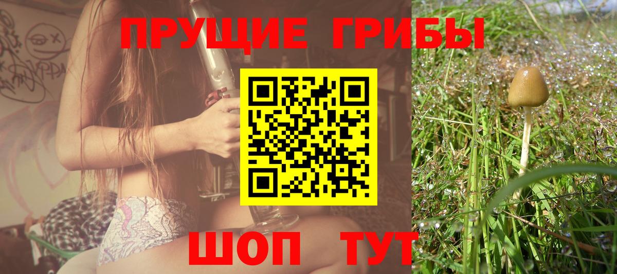 Псилоцибиновые грибы прущие грибы  Вход с VPN  Карпинск  Галлюциногенные грибы мицелий 
